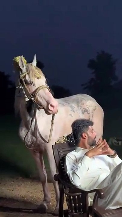 Bilal's Short Video Highlights 🎥