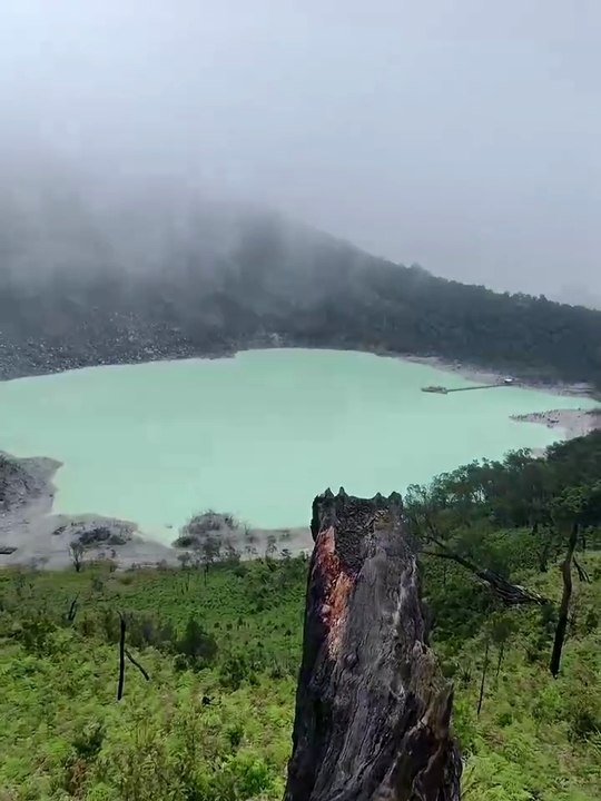 Indo 2025: Exciting Trip with Minty 🇮🇩