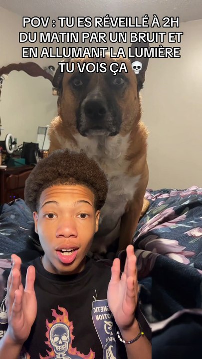 Prevenez le propriétaire ‼️💀