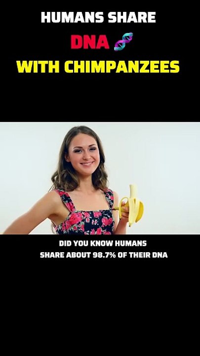 Humans share dna with chimpanzees
