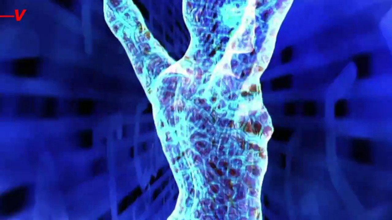 How Does All That Coffee You Consume Really Affect Your Body