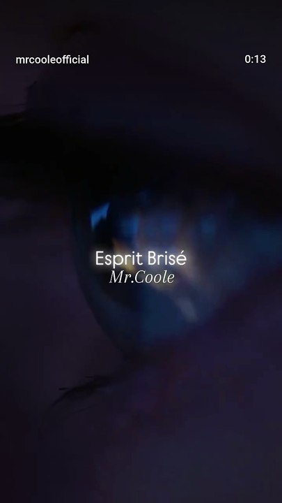 Esprit Brisé