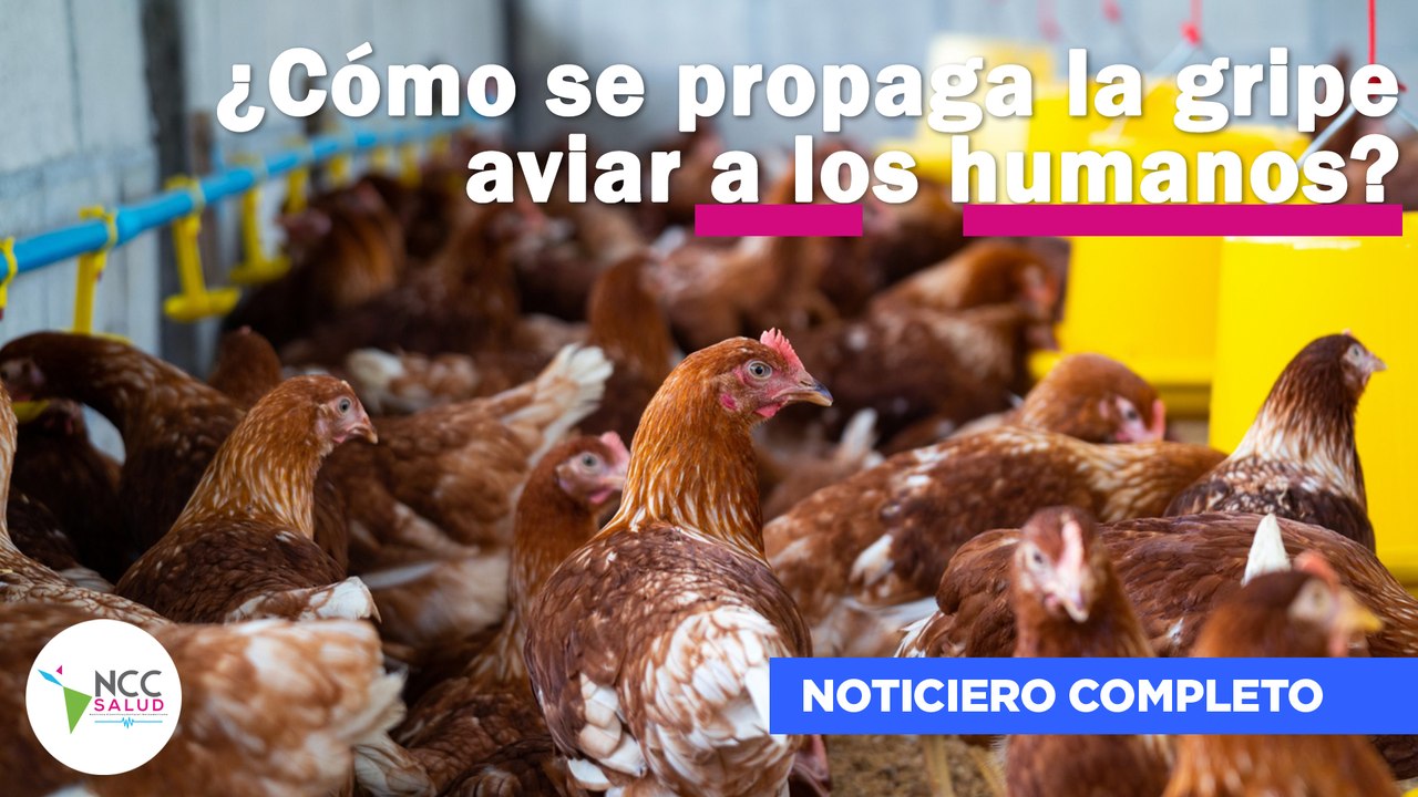 ¿Cómo se propaga la gripe aviar a los humanos? | 240 | 10 al 16 de marzo de 2025