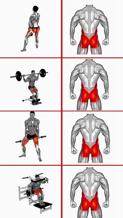 Glutes Workout For Men At Gym