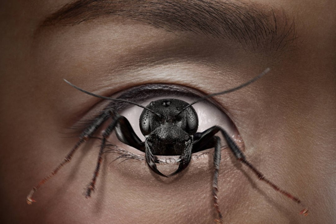 Control Freak | Tráiler oficial