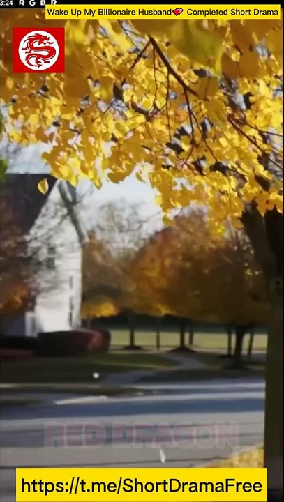 Wake Up My Billionaire Husband💕 Completed Short D