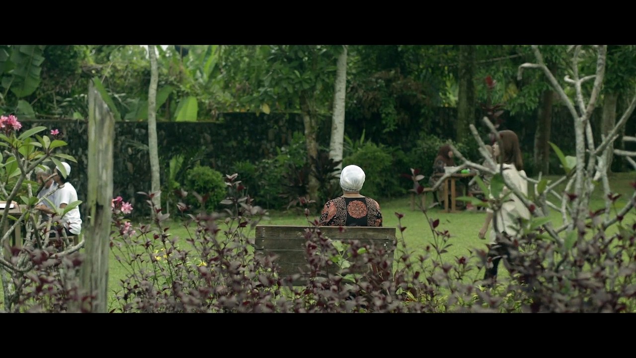 Don’t Look Back… I Know Your Origins _ 2024