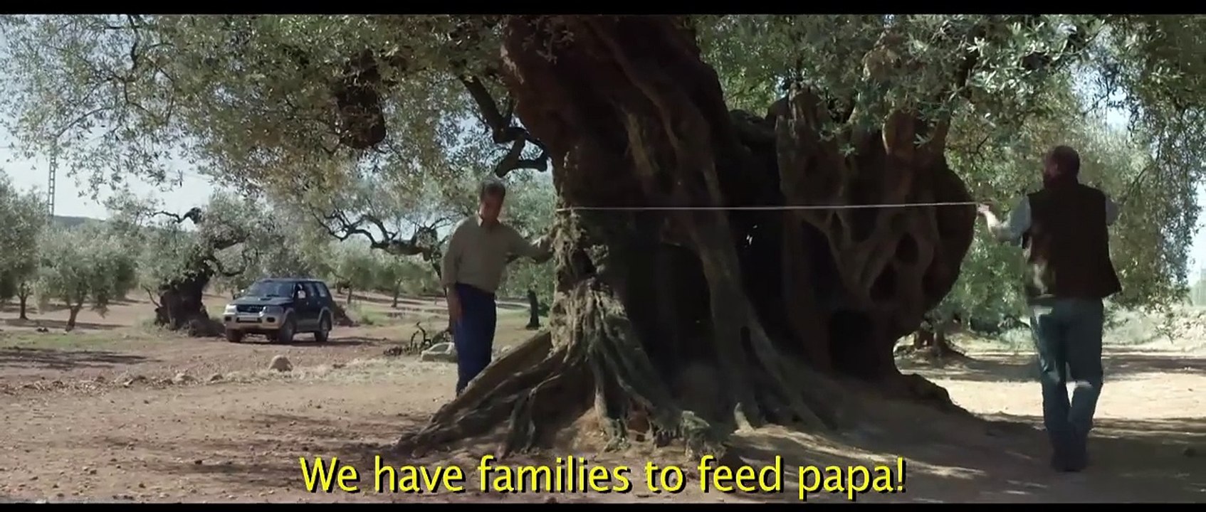 The Olive Tree | Trailer 1