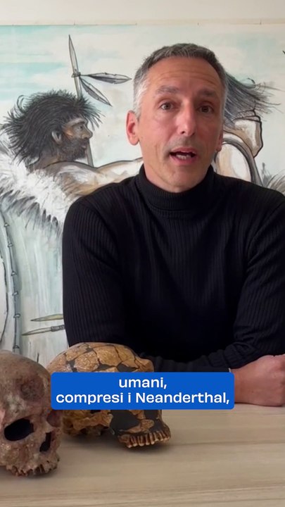 Perché si pensa che i Neanderthal siano estinti?