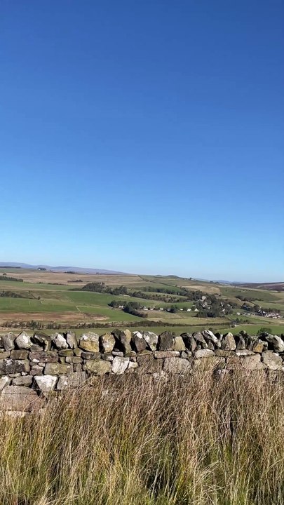 Elsdon's Big Dan Burn Walk