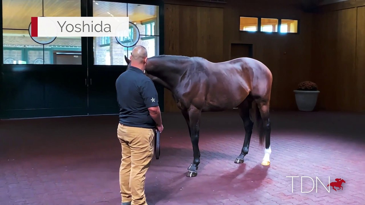 Yoshida 360 Video
