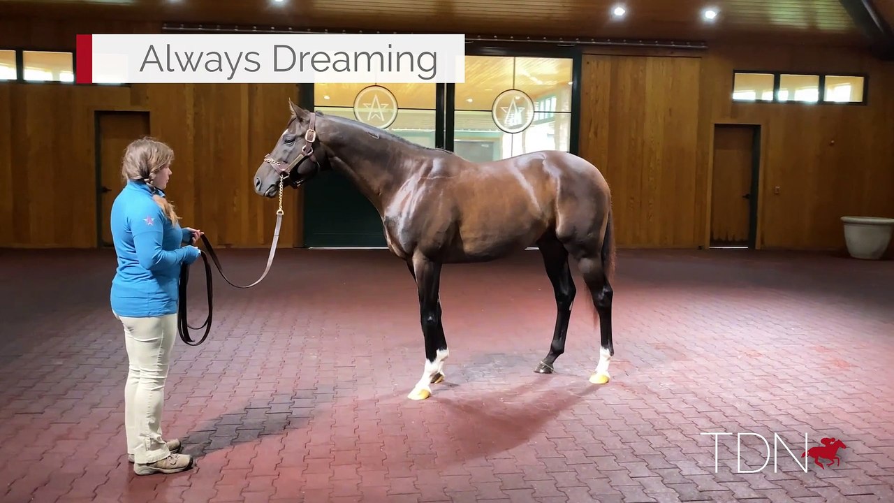 Always Dreaming 360 Video