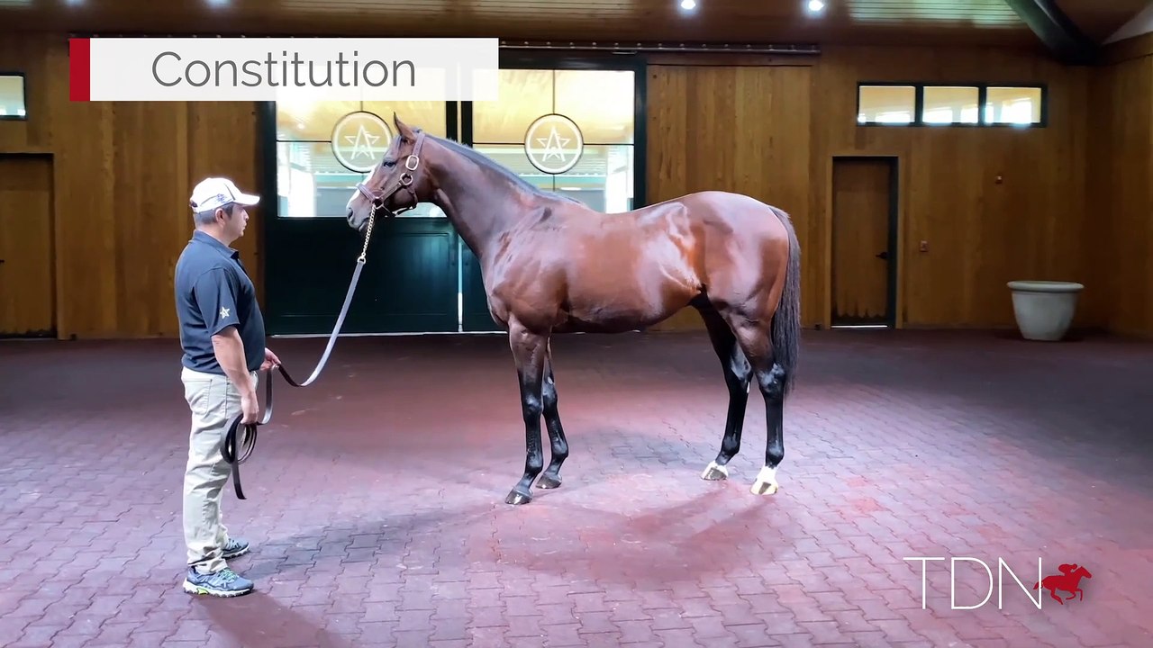 Constitution 360 Video