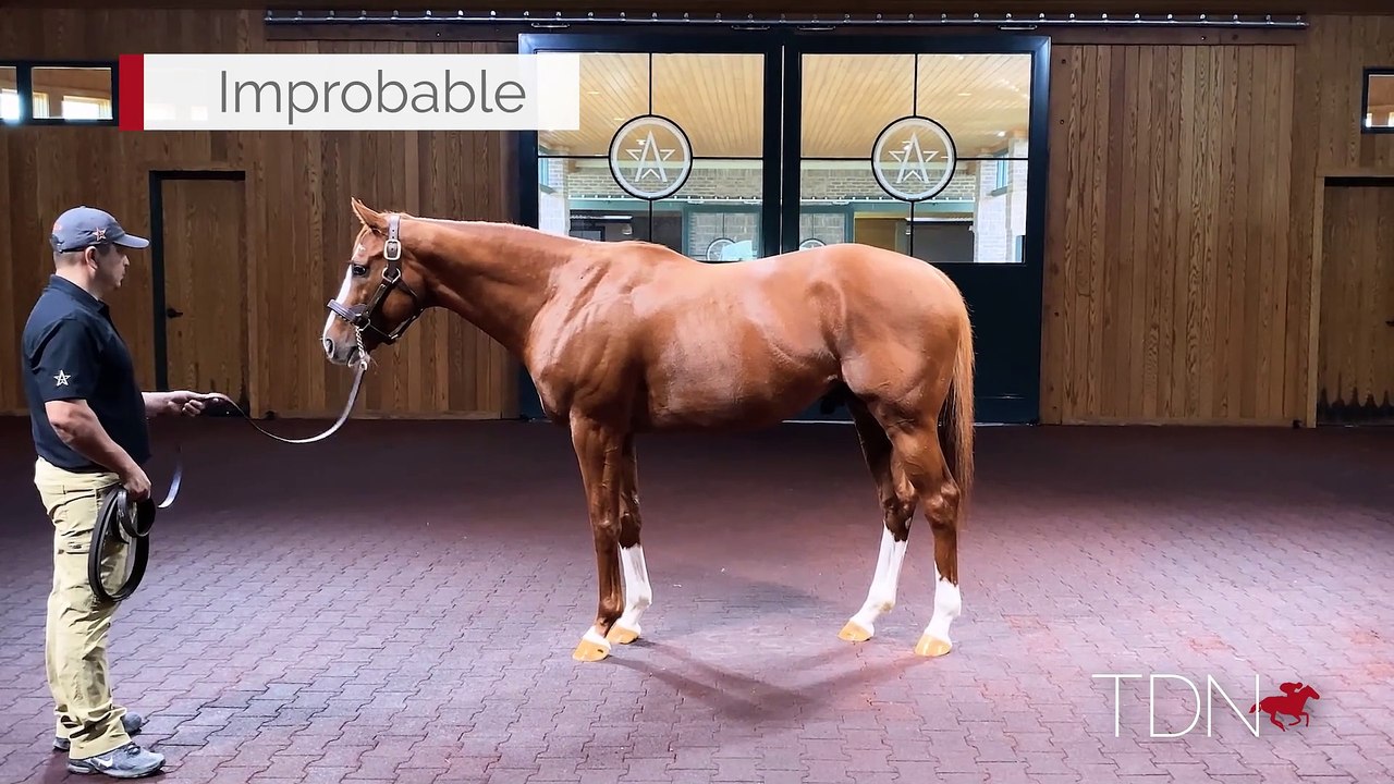 Improbable 360 Video