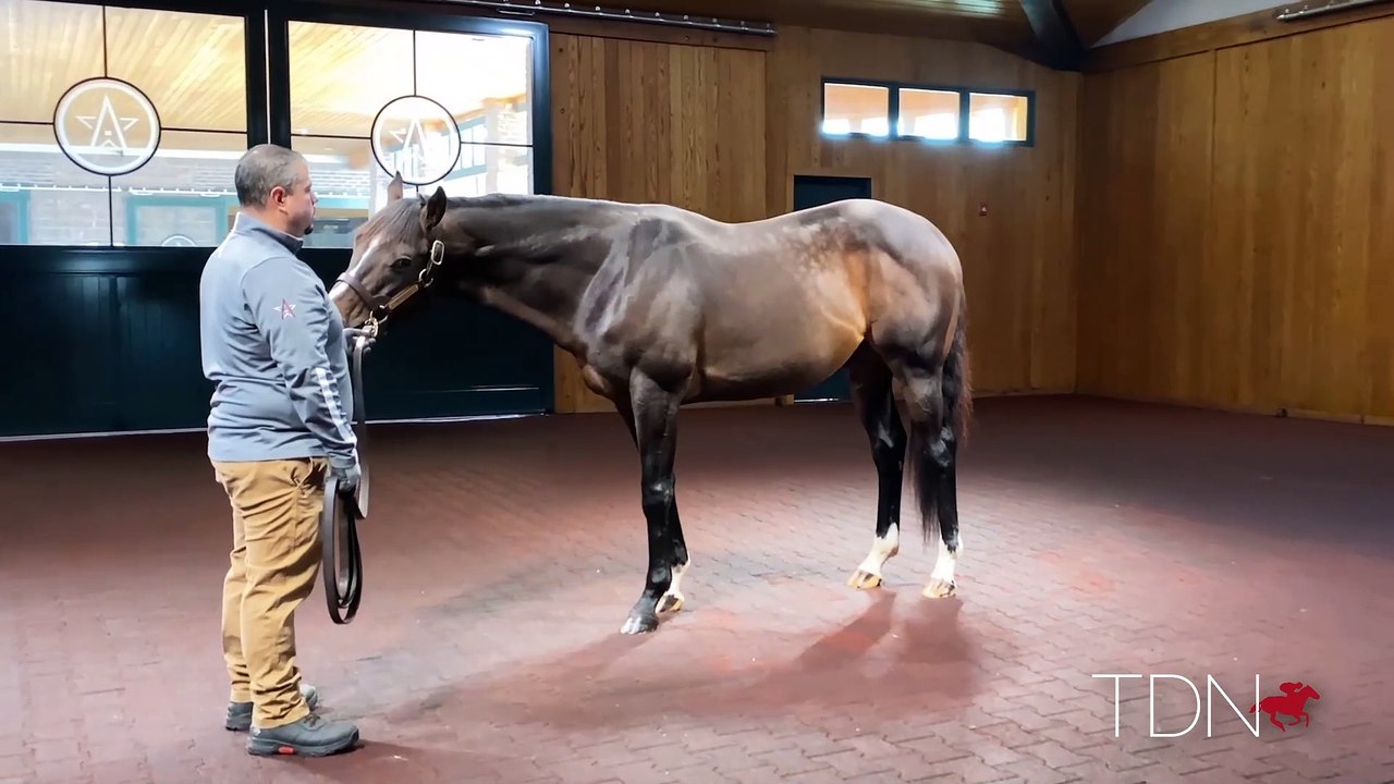 Good Samaritan 360 Video