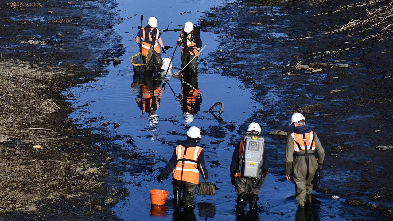 Scottish Canals Wildlife Preservation