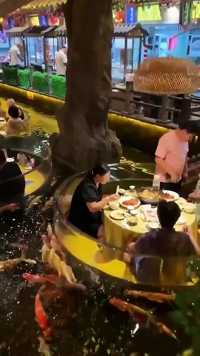 Travel vlog awesome hotel #travel #love #hotel #news