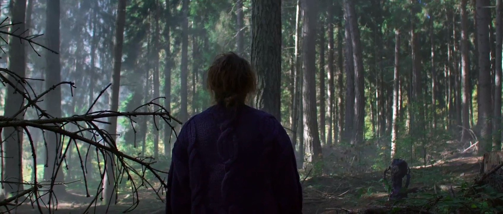 Charlotte, una di noi (Trailer ufficiale HD) ⭐️⭐️⭐️