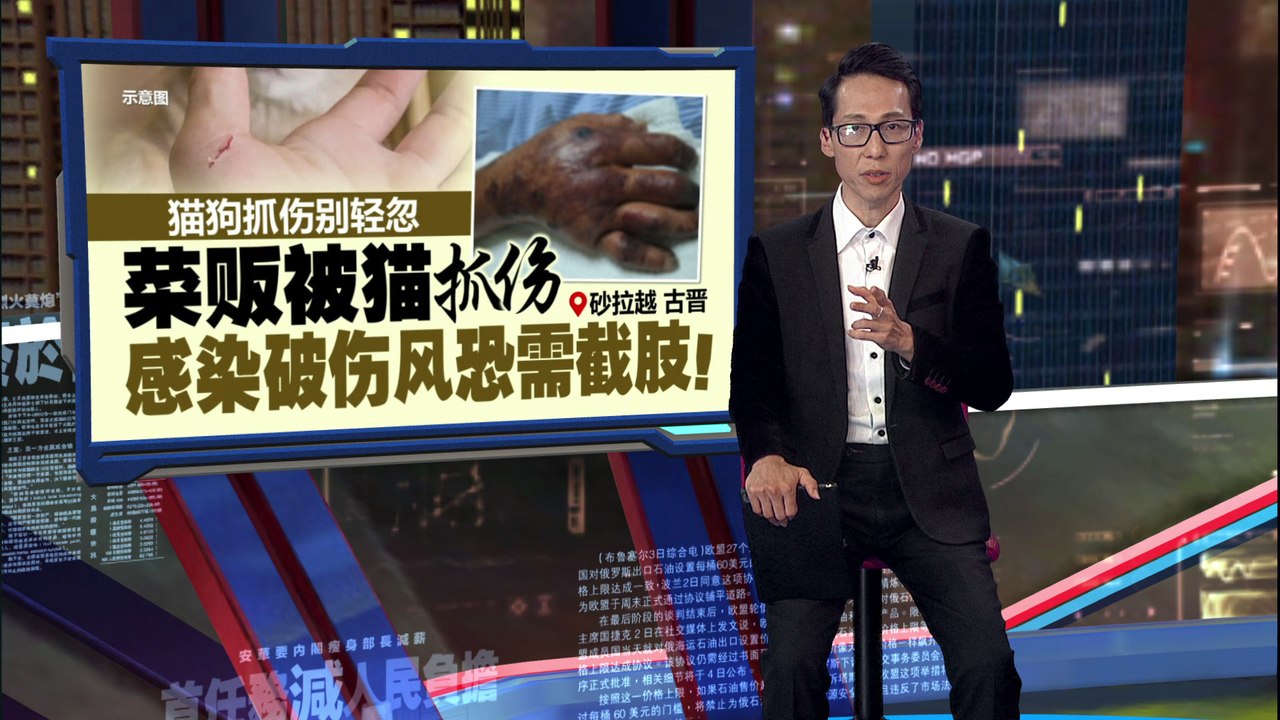 别轻忽猫狗抓伤   菜贩被猫抓伤染破伤风恐需截肢