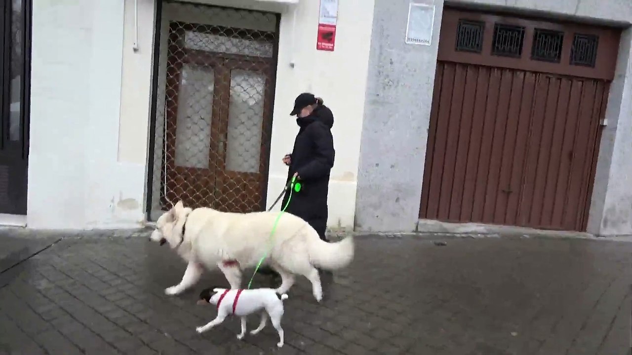 Genoveva Casanova sorprende con su reacción ante la boda de su ex, Cayetano Martínez de Irujo 💍