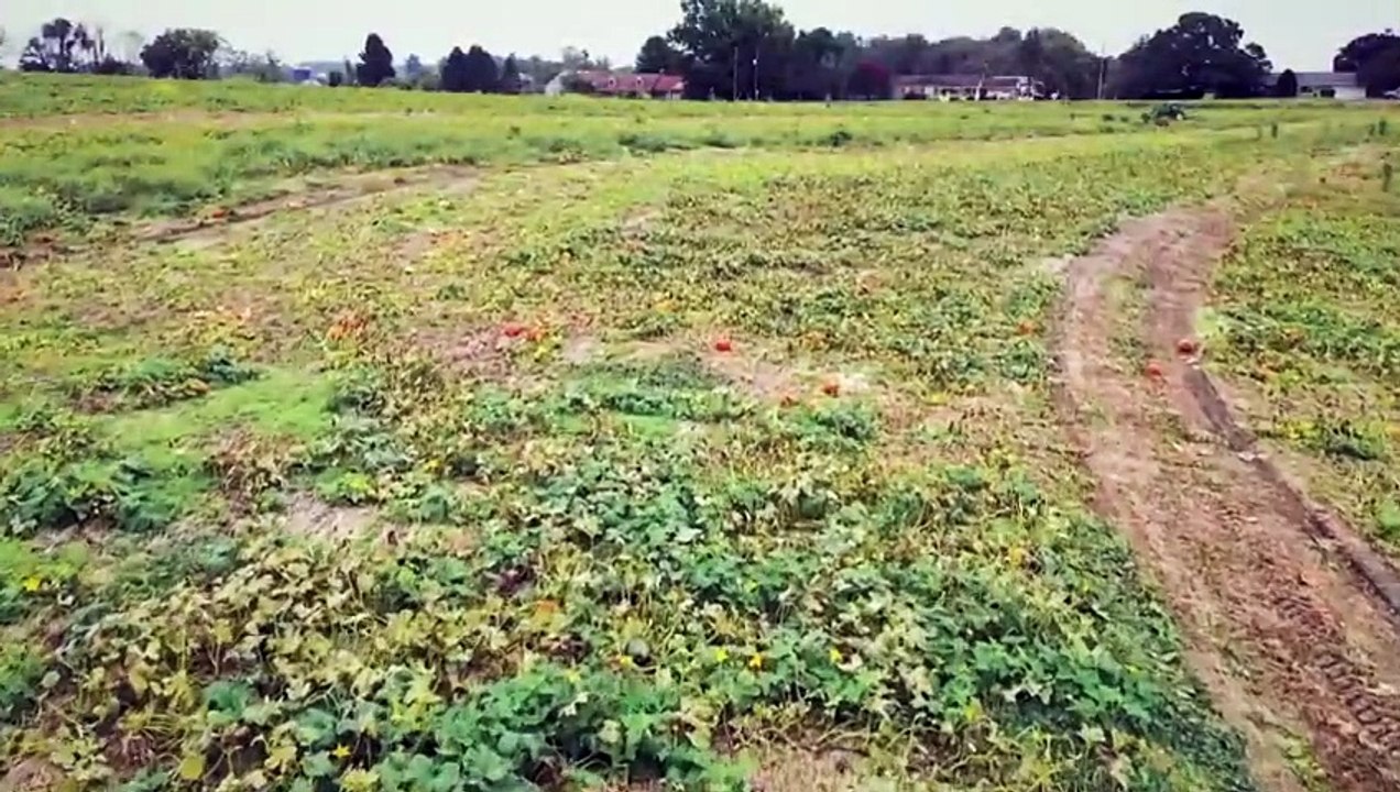 Finding Your Roots - S11E04 - Dreamers One and All