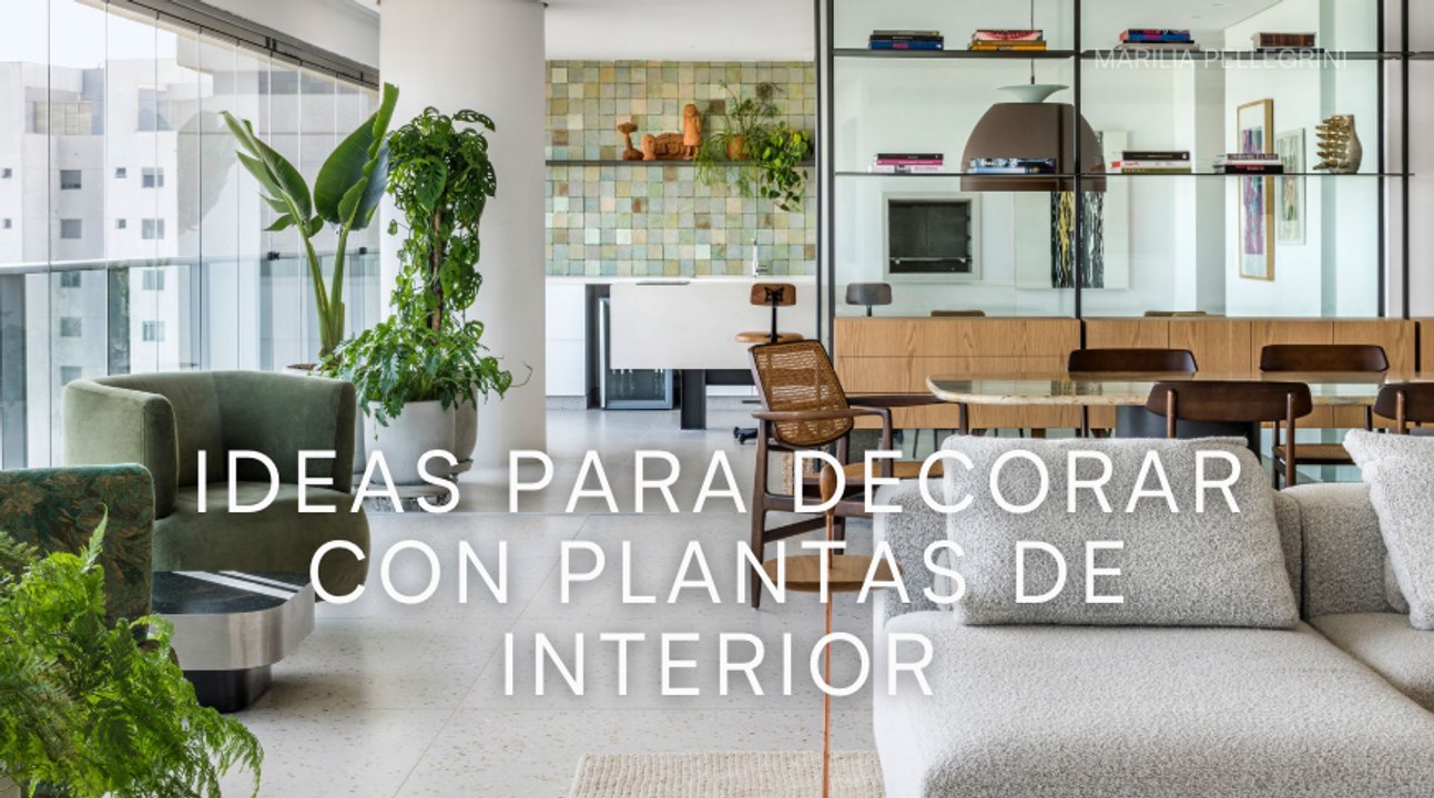 Ideas para decorar con plantas de interior