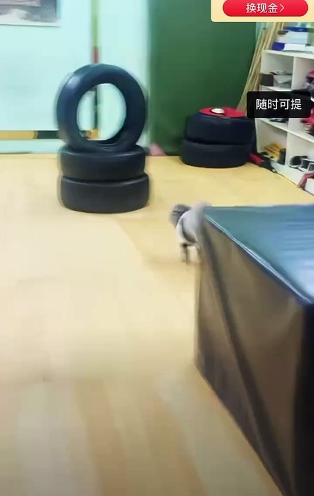 amazing talent of  a little dong. #mustwatch