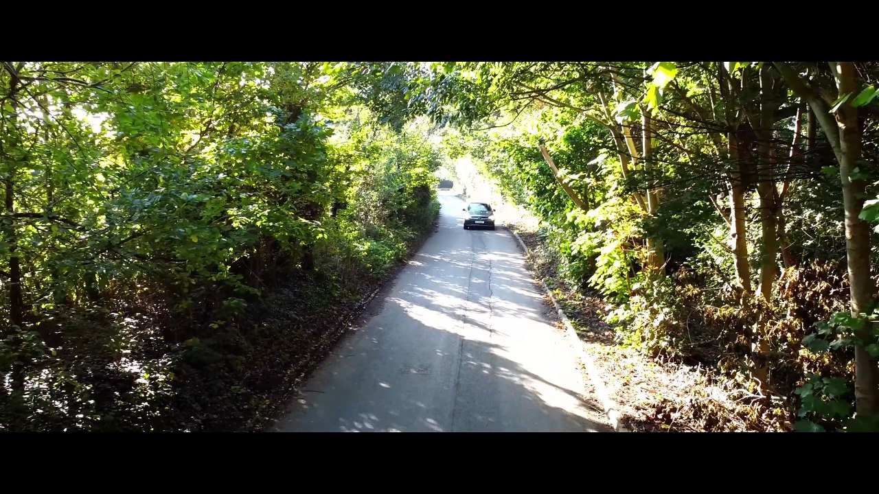 The Forest Clown | movie | 2025 | Official Trailer