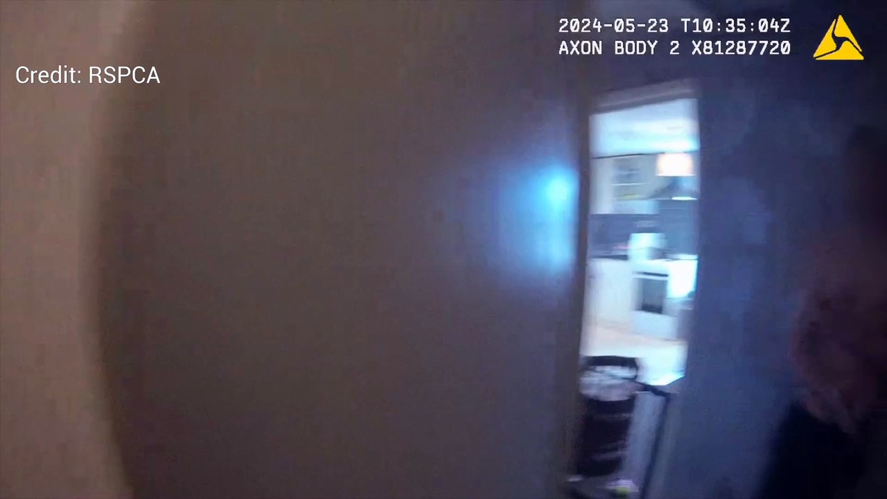 Shocking footage of Caesar found in at a home in Medway