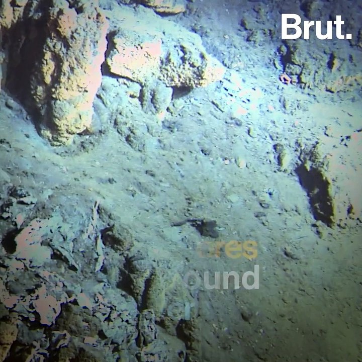 Deep-sea mining is the new gold rush