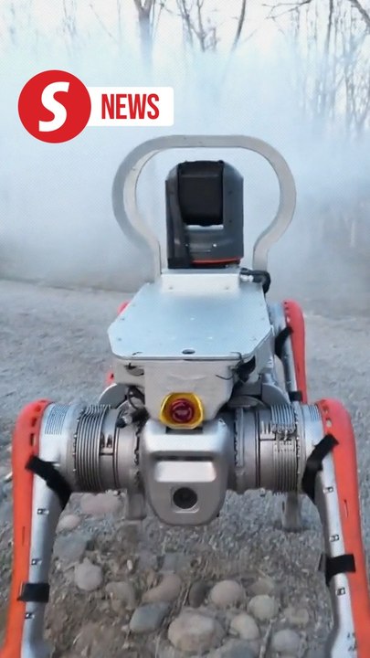 Quadruped robot engages in forest firefighting drill in N China's Tianjin