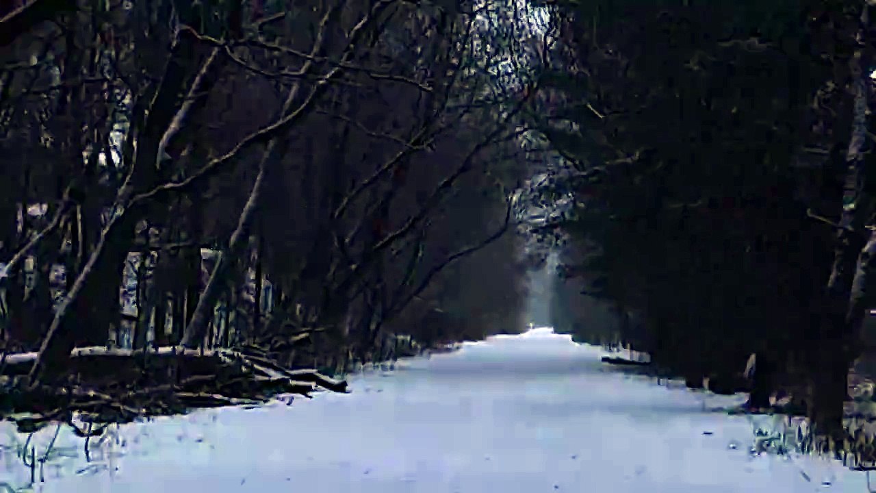 Frost Peak - Polvojack (Official Music Video)