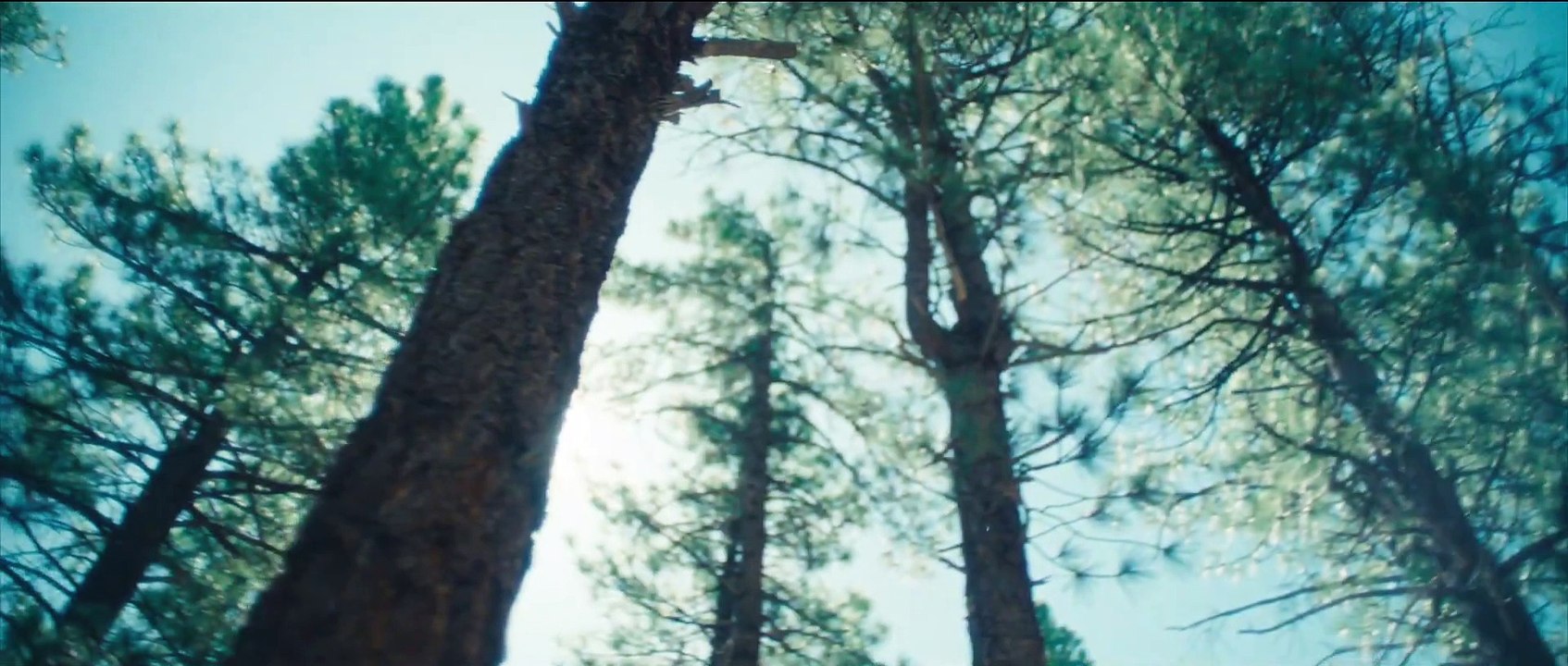 Call Of The Void Trailer