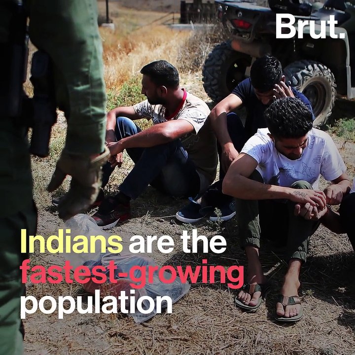 Undocumented Indian immigrants in the US