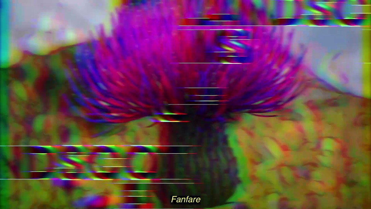 Films of Scotland winning films.