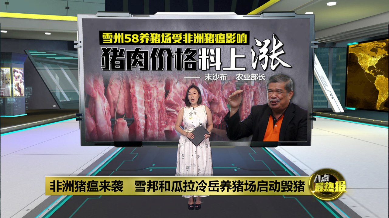 雪州猪圈爆非洲猪瘟   民众近期被迫吃贵猪肉