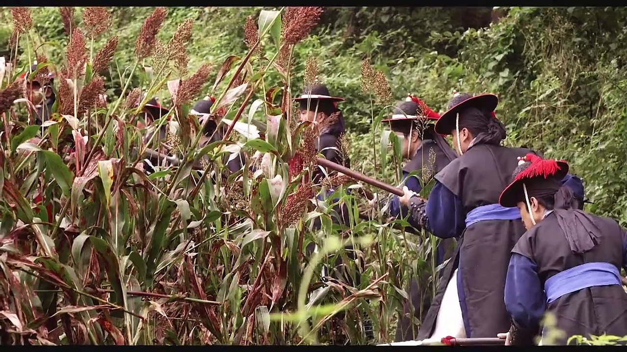 Thám Tử K- Bí Mật Góa Phụ