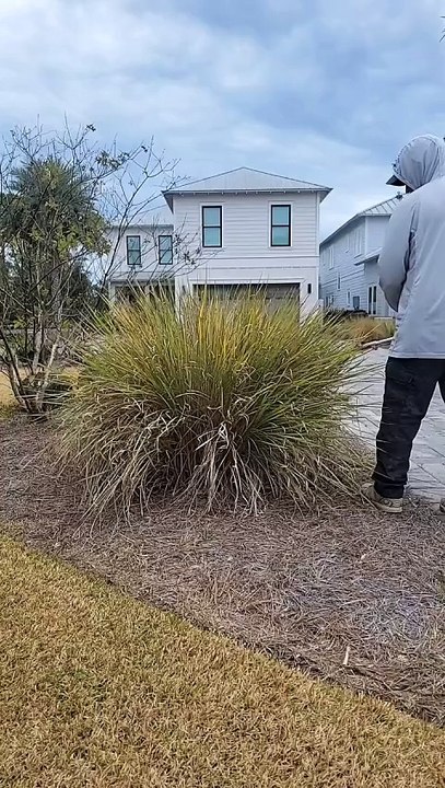 That's Whoa 🔥⤴️ Using my Echo PAS-2620 with hedge trimmer attachment #lawncare #hustle #satisfying #beforeandafter #reels #instagood #connerlawnandmaintenance