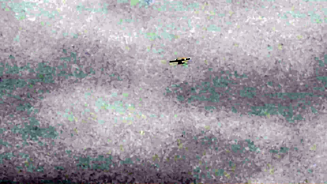 The National Police Air Service fixed wing aircraft filmed flying over Sheffield