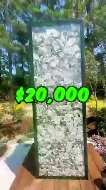 Katana Vs Bullet | Mr beast video in english | Mrbeast latest video | Mr beast in english | Mr beast gamming channel