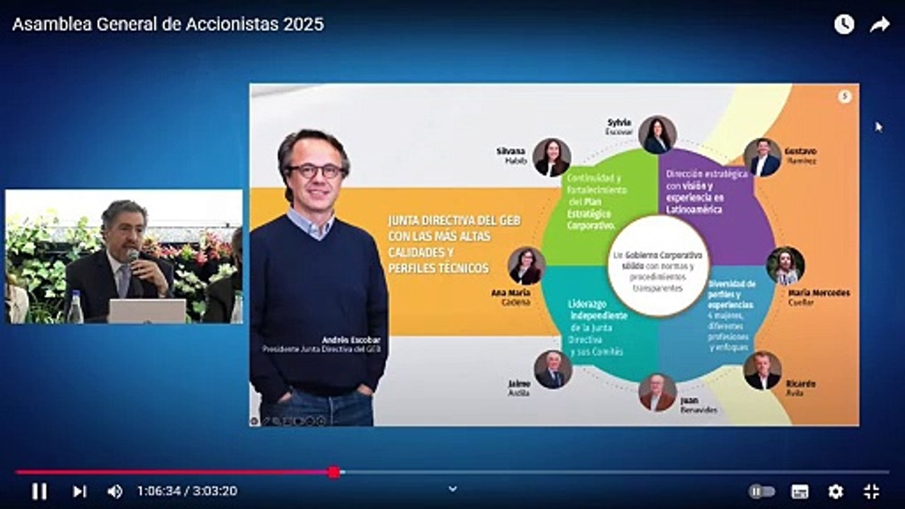 Junta Directiva GEB perfiles