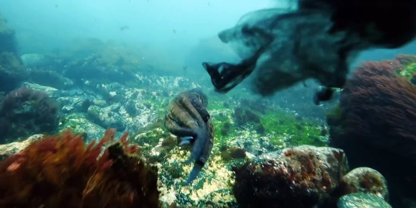 Kantauri - Tráiler