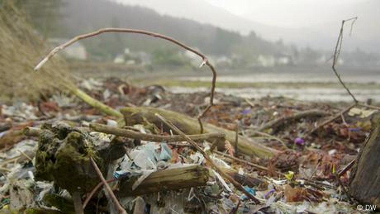 Scotland: Loch Long's hidden pollution problem