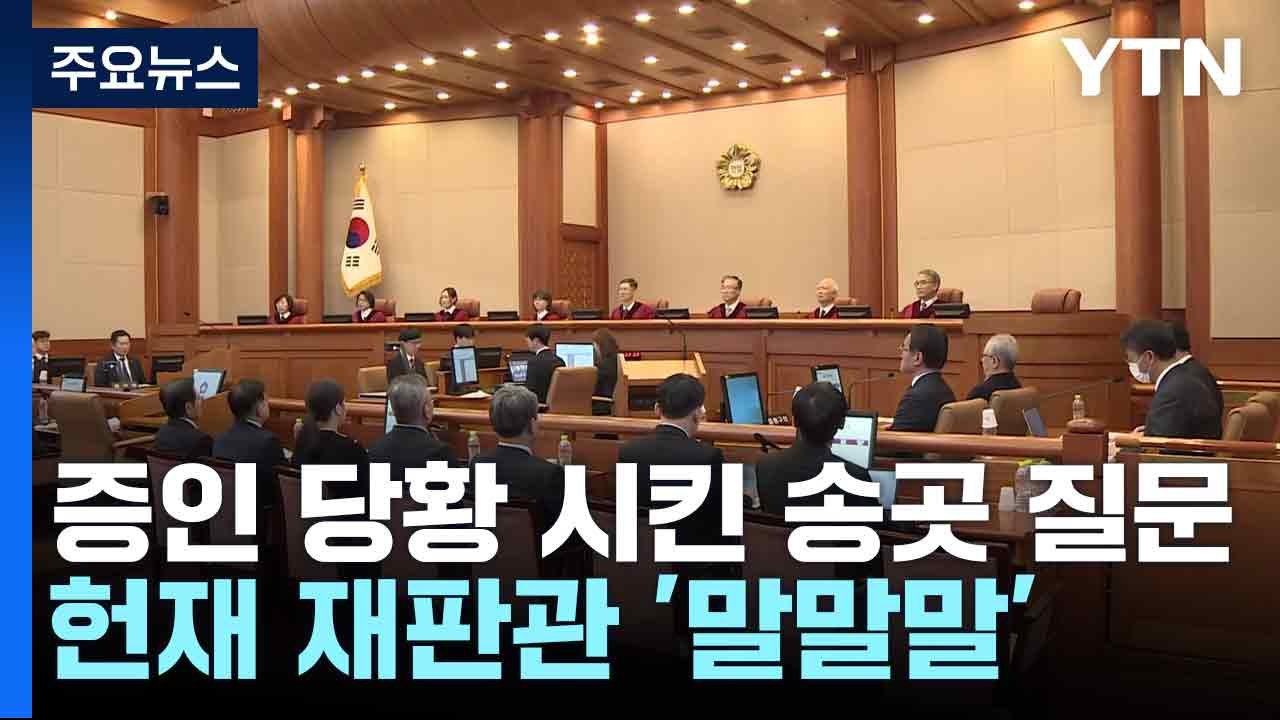 증인 당황 시킨 송곳 질문...헌재 재판관 '말말말' / YTN