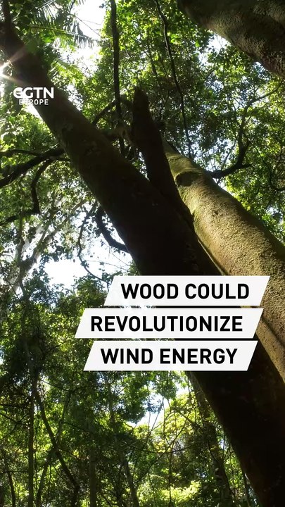 Wood could revolutionize wind energy