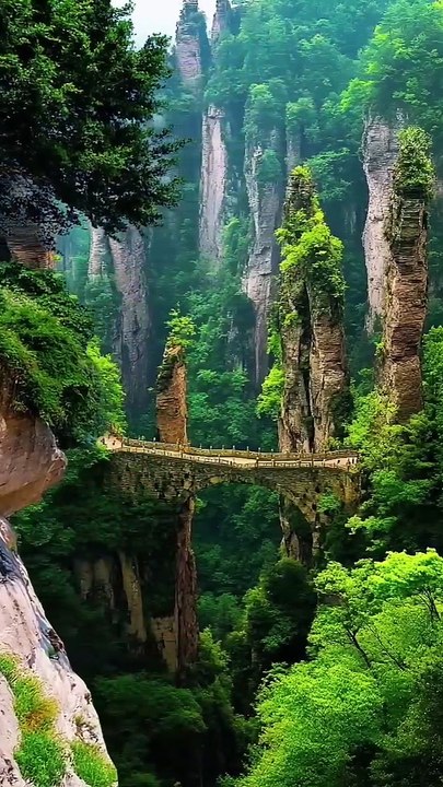 Mind-Blowing Science Facts About the Amazon Rainforest | Nature's Green Lungs