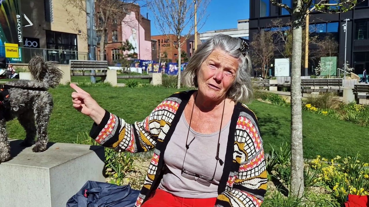 Pound's Park and the future of public spaces in Sheffield