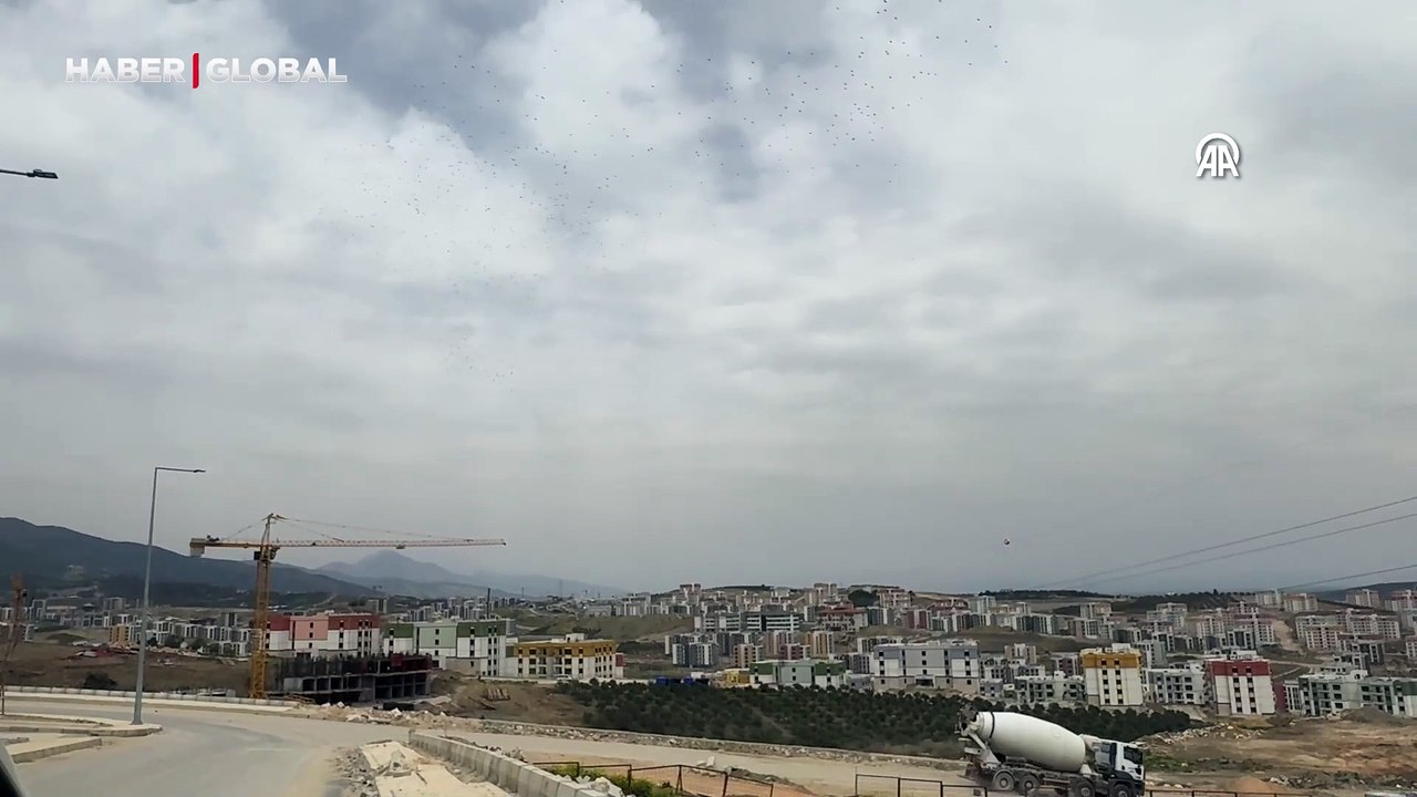 Baharın müjdecileri geri dönüyor