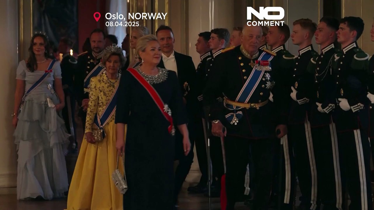 Norway's Princess Ingrid Debuts at State Visit Gala Dinner