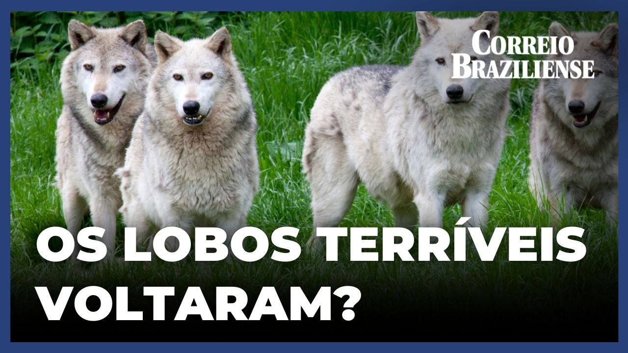 Será que os lobos-terríveis realmente voltaram?